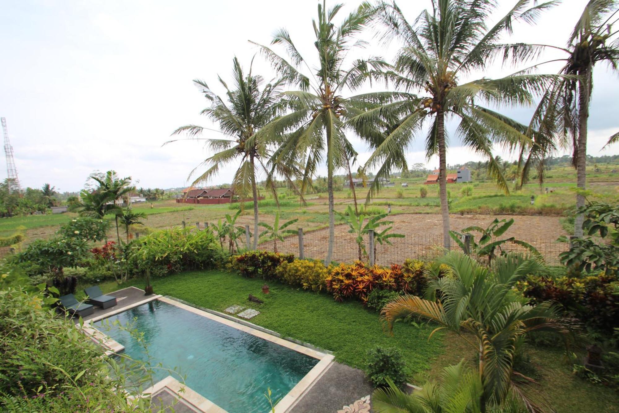 Uma Capung Mas Cottage Ubud Eksteriør billede