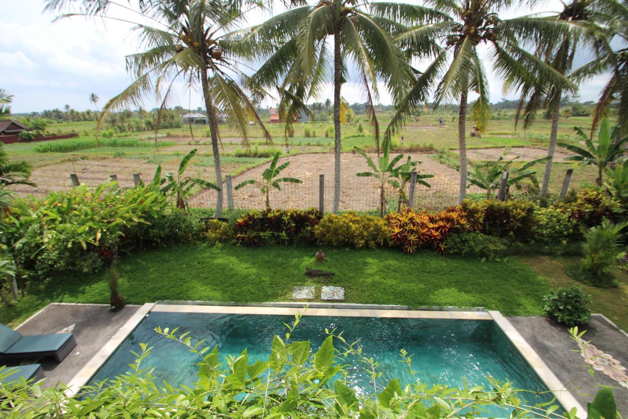 Uma Capung Mas Cottage Ubud Eksteriør billede