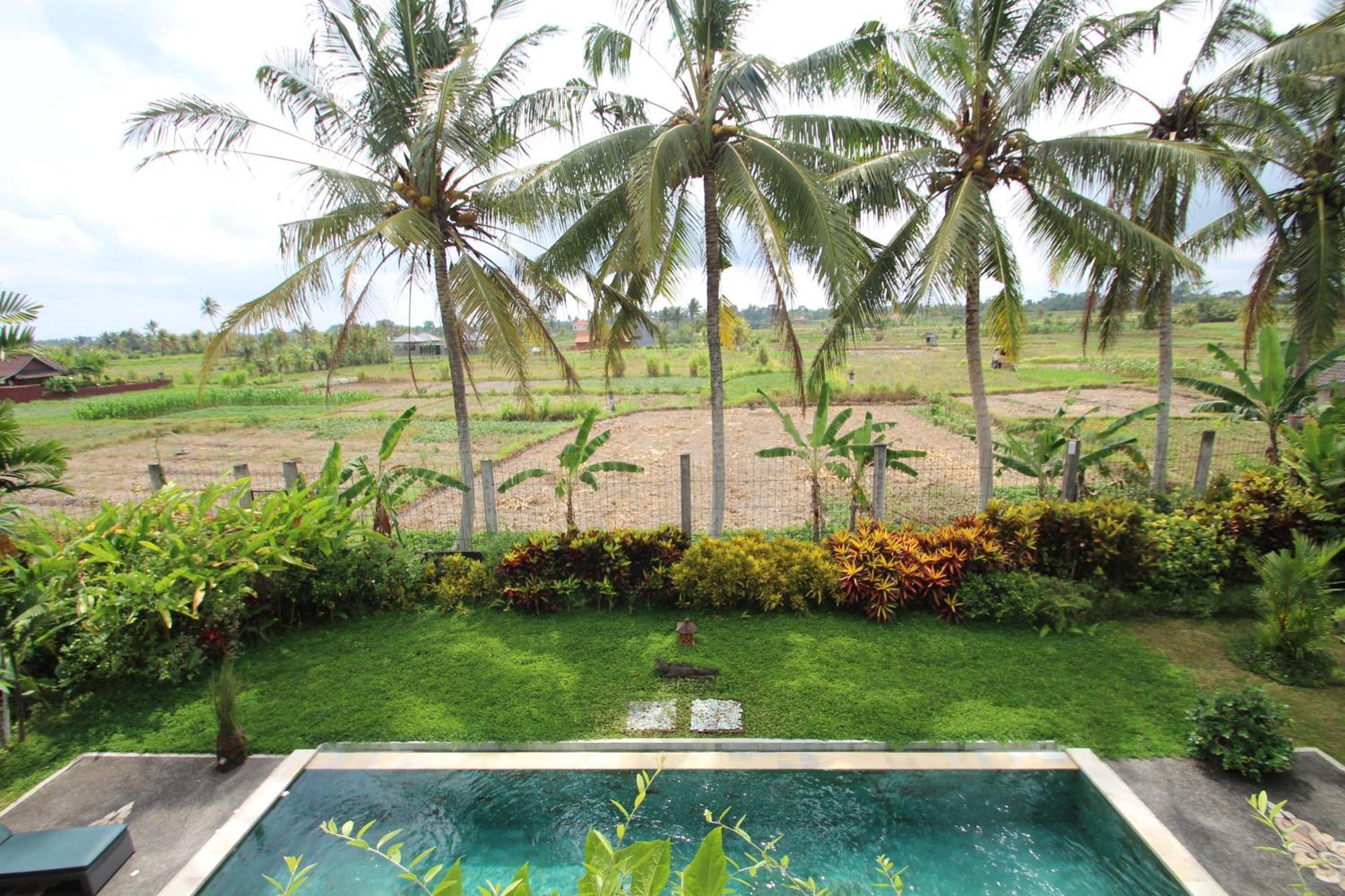 Uma Capung Mas Cottage Ubud Eksteriør billede