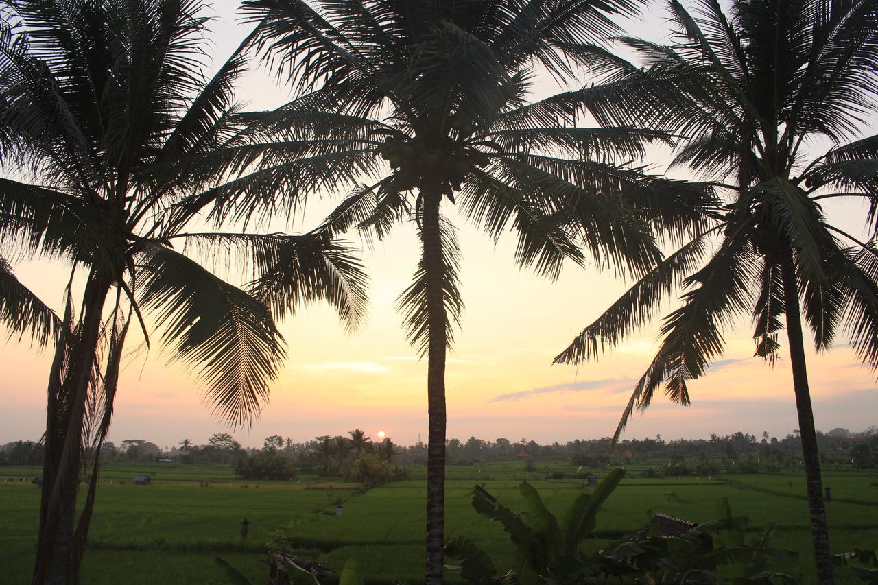 Uma Capung Mas Cottage Ubud Eksteriør billede