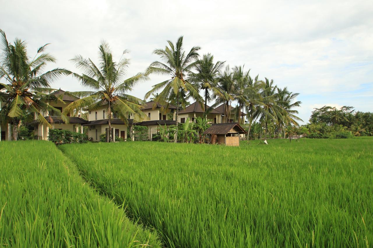 Uma Capung Mas Cottage Ubud Eksteriør billede